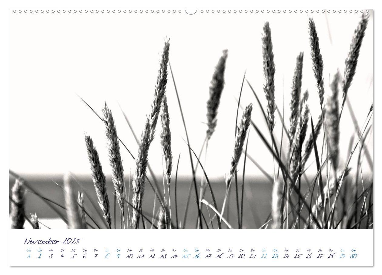 Bild: 9783435734313 | Meeresbilder - Nordsee-Impressionen (Wandkalender 2025 DIN A2...