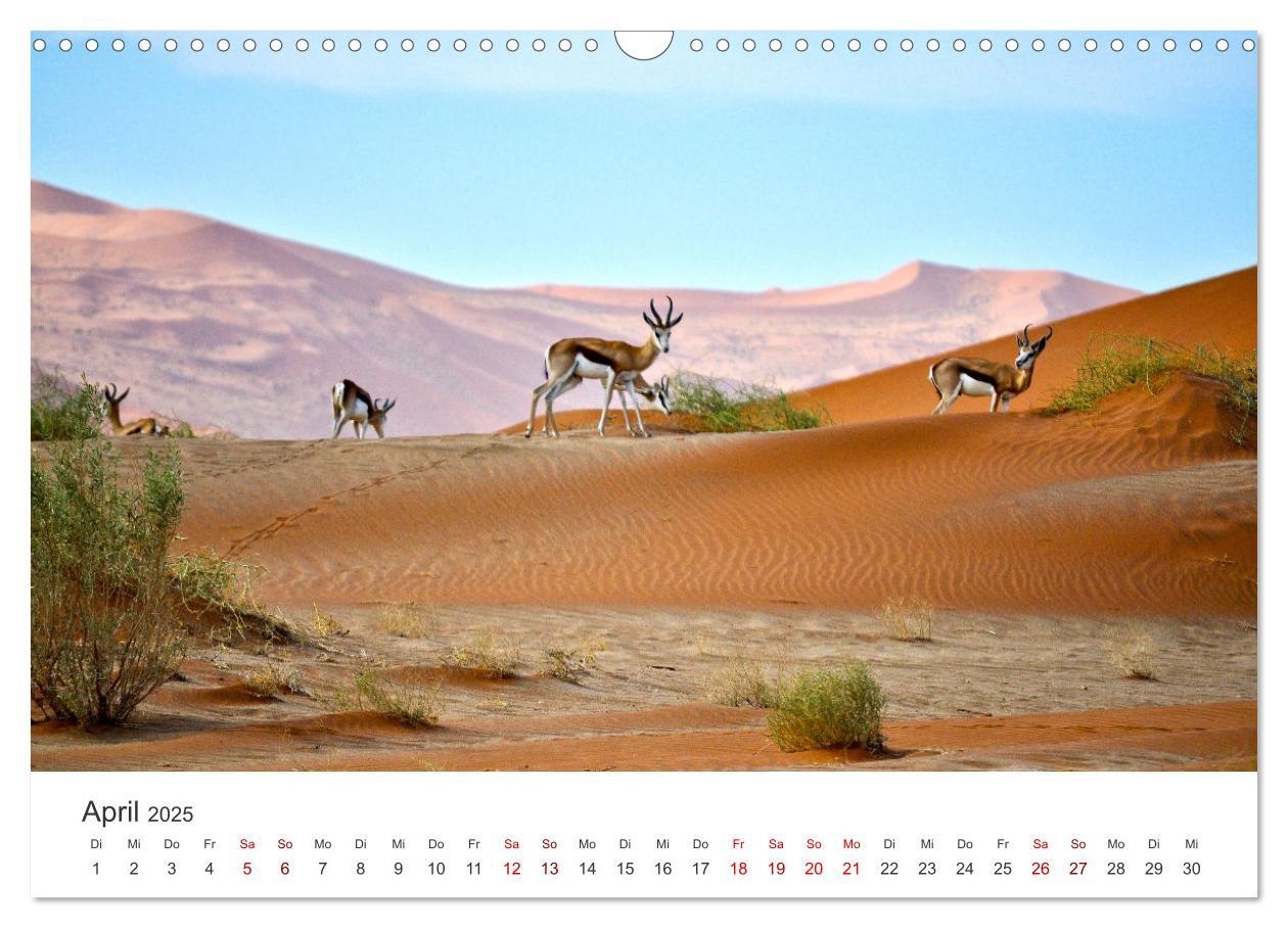 Bild: 9783383976902 | Namibia - Ein Paradies auf Erden. (Wandkalender 2025 DIN A3 quer),...