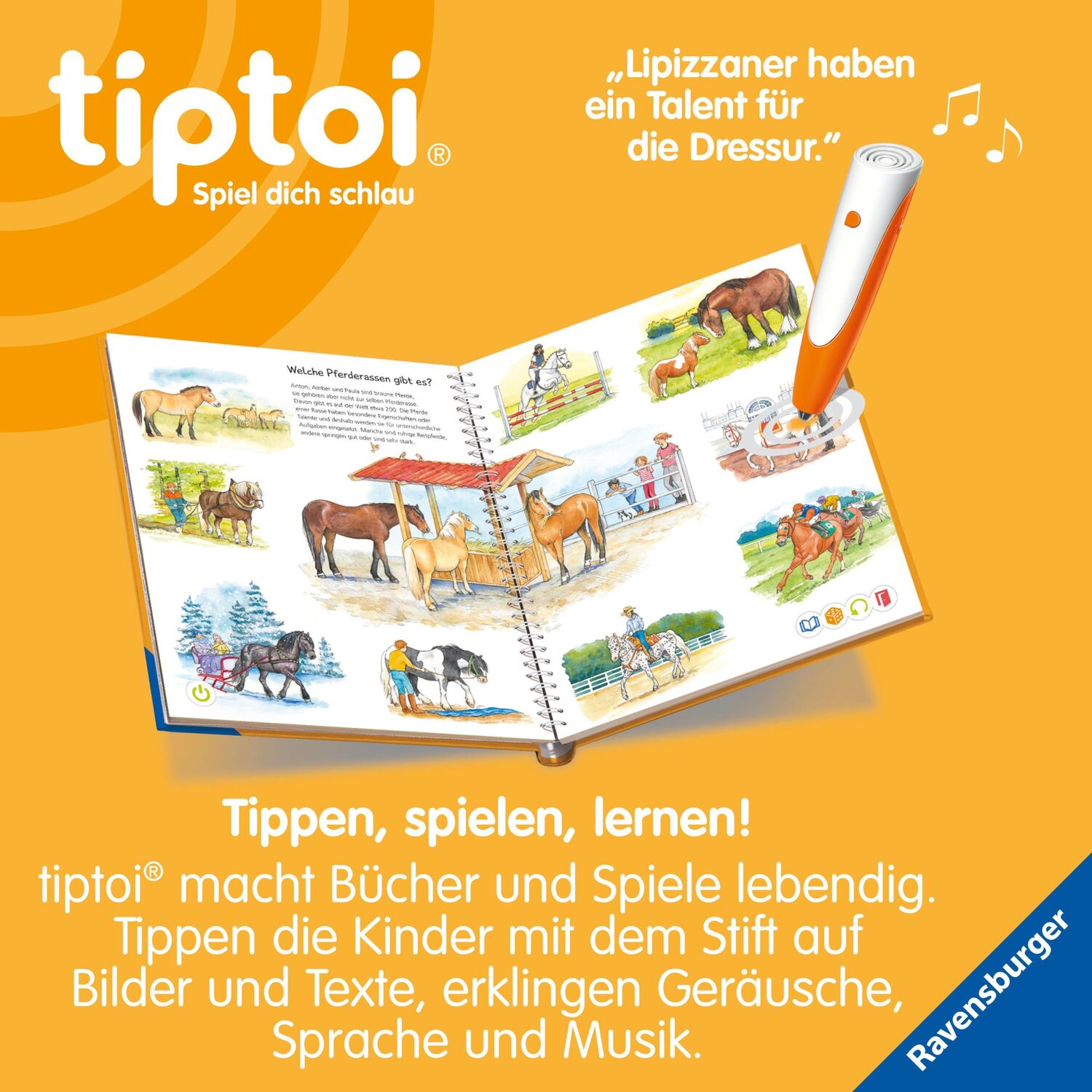 Bild: 9783473492299 | tiptoi® Wieso? Weshalb? Warum? Wir entdecken Pferde und Ponys | Buch