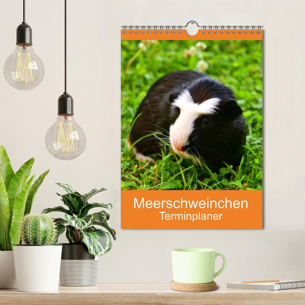 Bild: 9783457014820 | Meerschweinchen Terminplaner (Wandkalender 2025 DIN A4 hoch),...