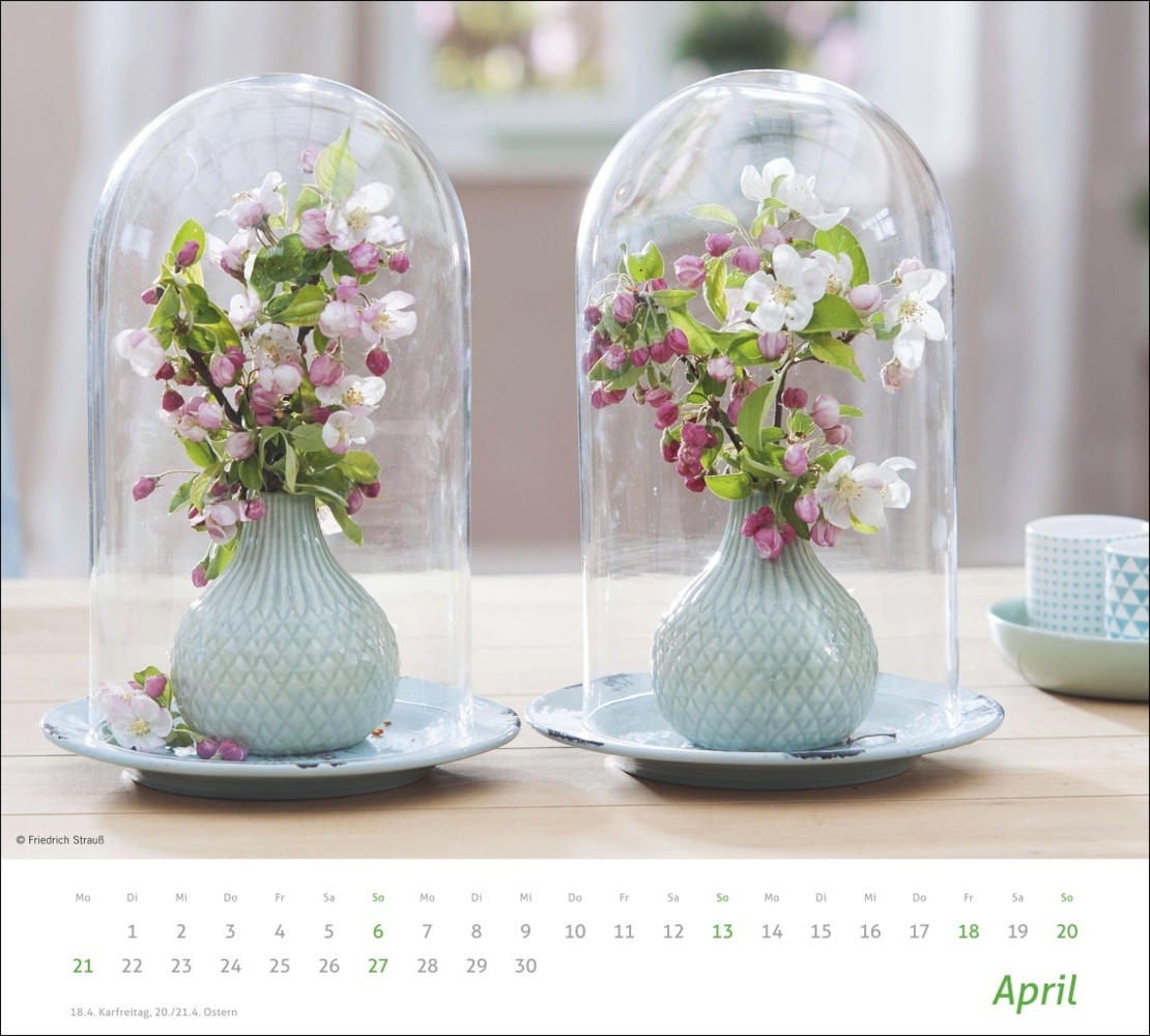 Bild: 9783756406876 | Blumen Bildkalender 2025 | Kalender | Spiralbindung | 14 S. | Deutsch