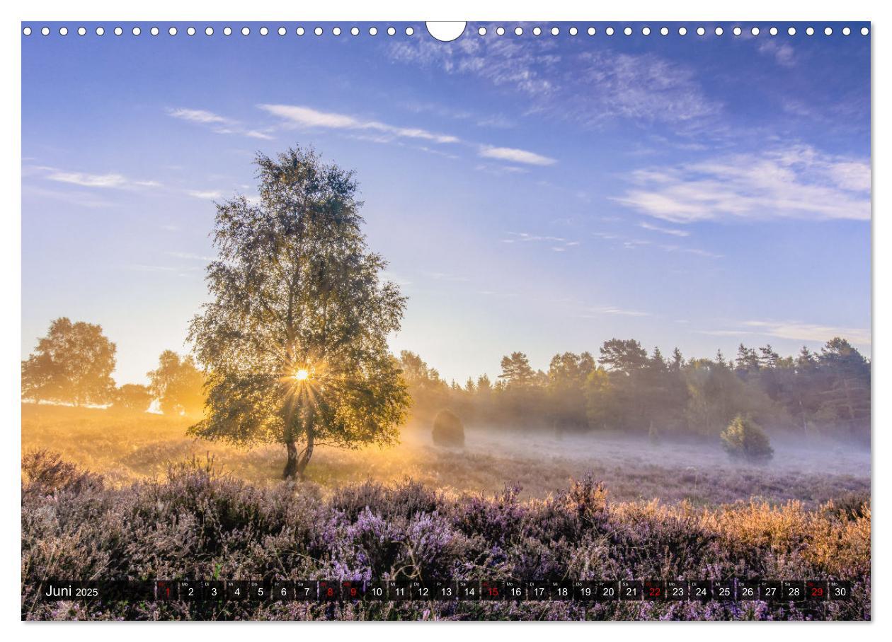 Bild: 9783383963711 | Die Lüneburger Heide - Faszination einer Naturlandschaft...