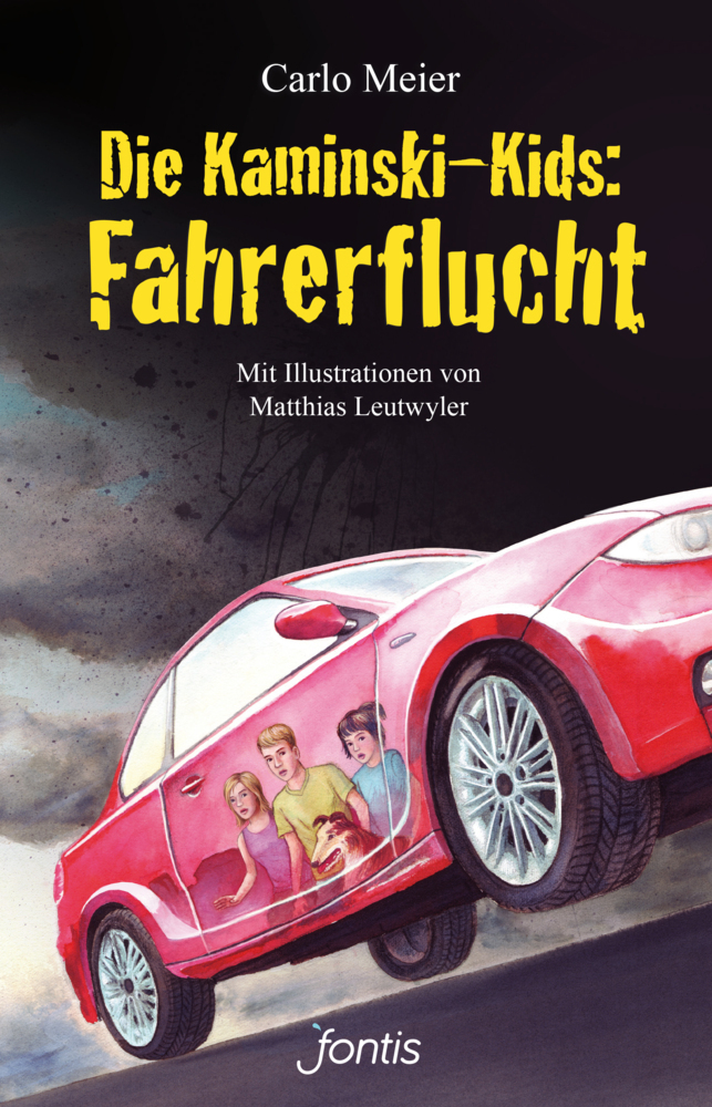 Cover: 9783038480174 | Fahrerflucht | Carlo Meier | Buch | 224 S. | Deutsch | 2014