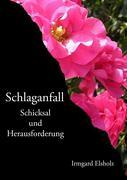 Cover: 9783833450976 | Schlaganfall | Schicksal und Herausforderung | Irmgard Elsholz | Buch