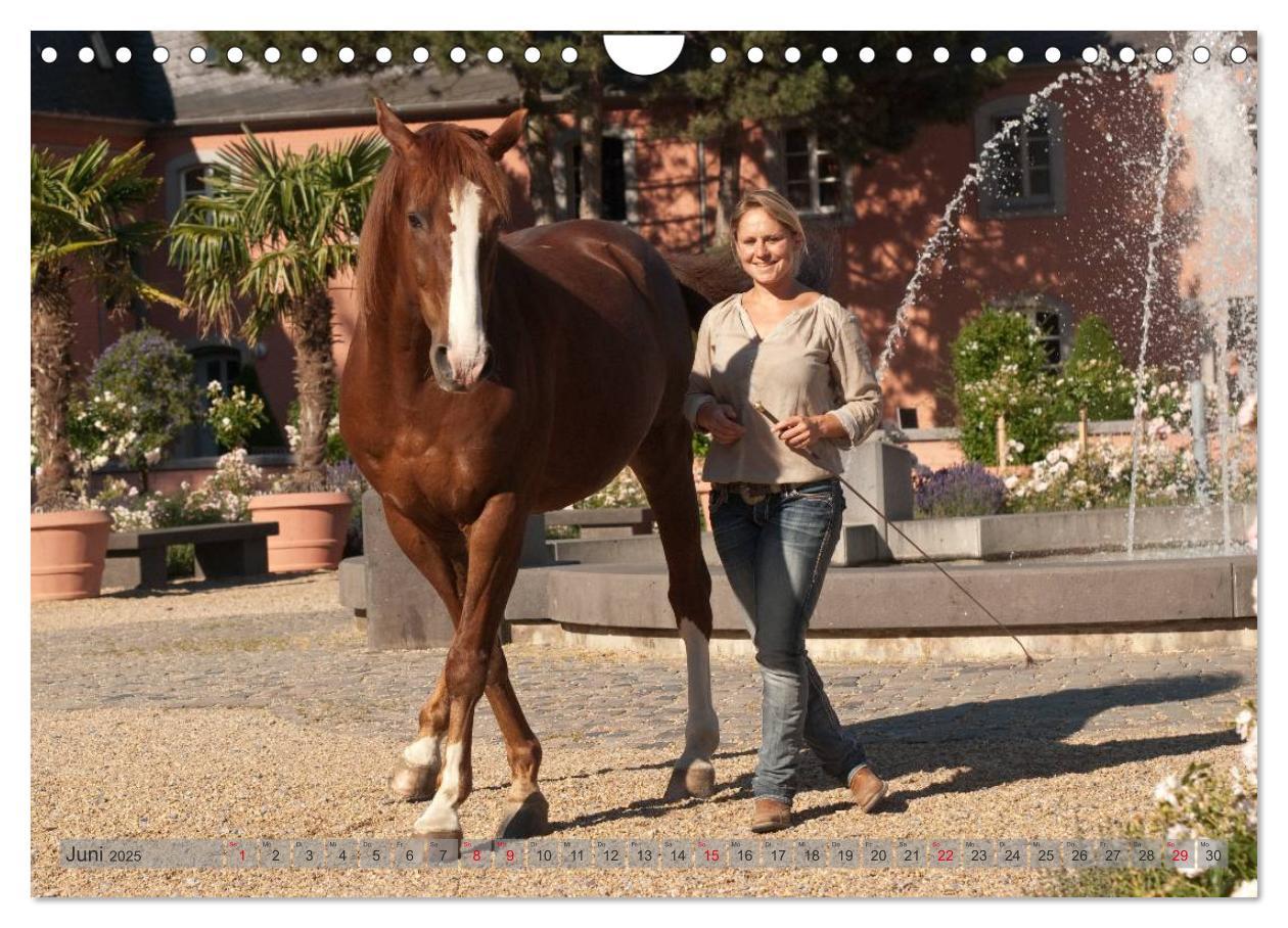 Bild: 9783435594160 | Natural Horsemanship - Partnerschaft mit Pferden (Wandkalender 2025...