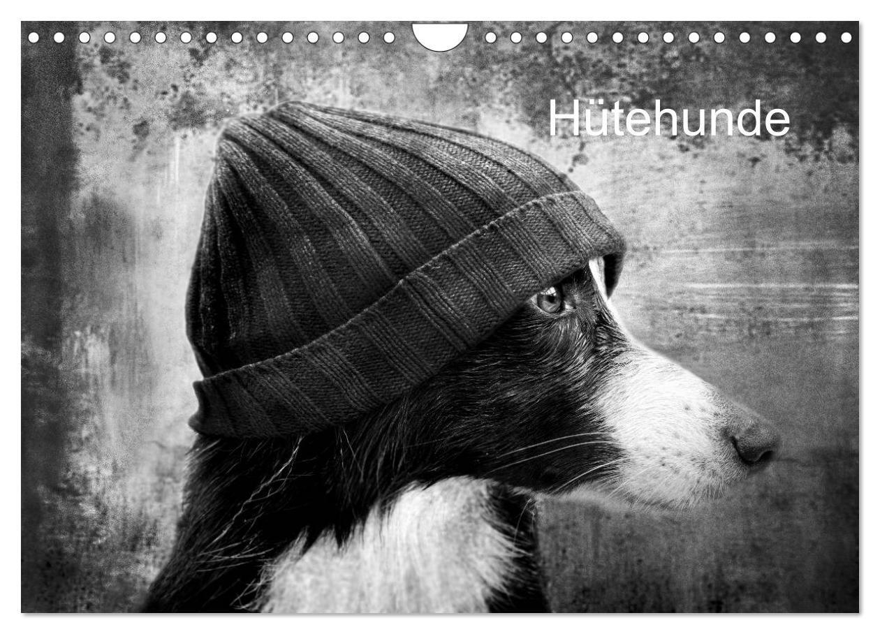 Cover: 9783435781522 | Hütehunde (Wandkalender 2025 DIN A4 quer), CALVENDO Monatskalender