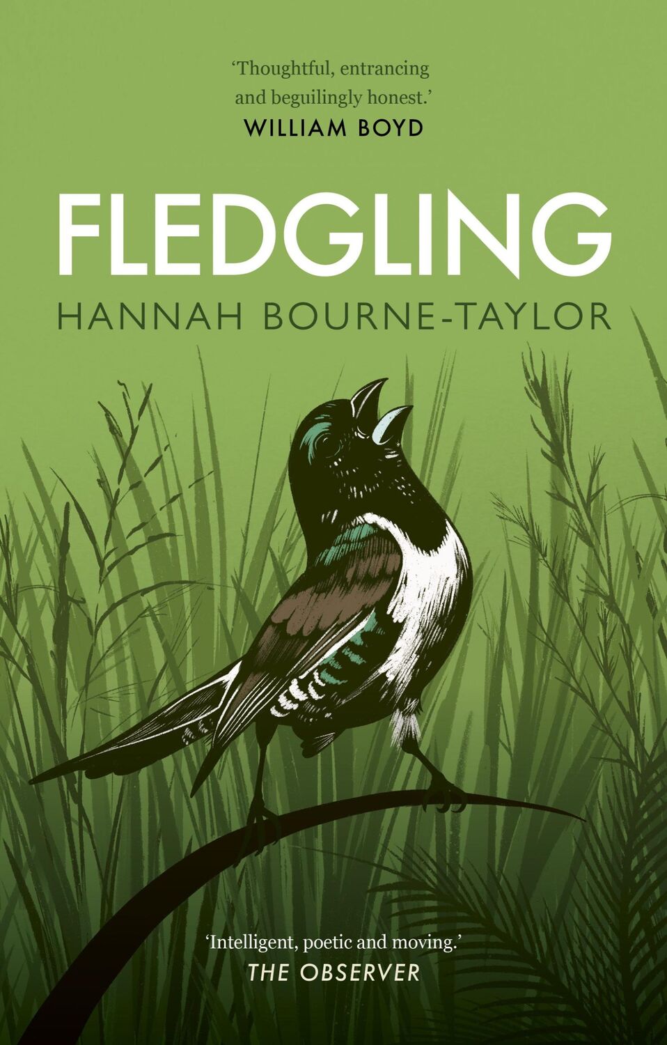 Cover: 9780711266681 | Fledgling | Hannah Bourne-Taylor | Taschenbuch | Englisch | 2023