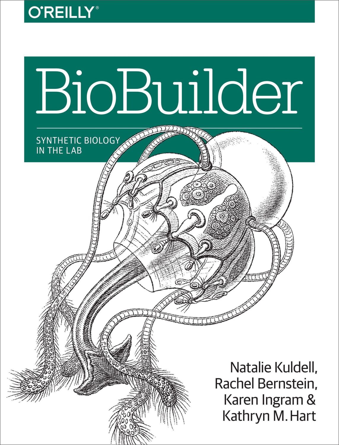 Cover: 9781491904299 | BioBuilder | Karen Ingram (u. a.) | Taschenbuch | 218 S. | Englisch