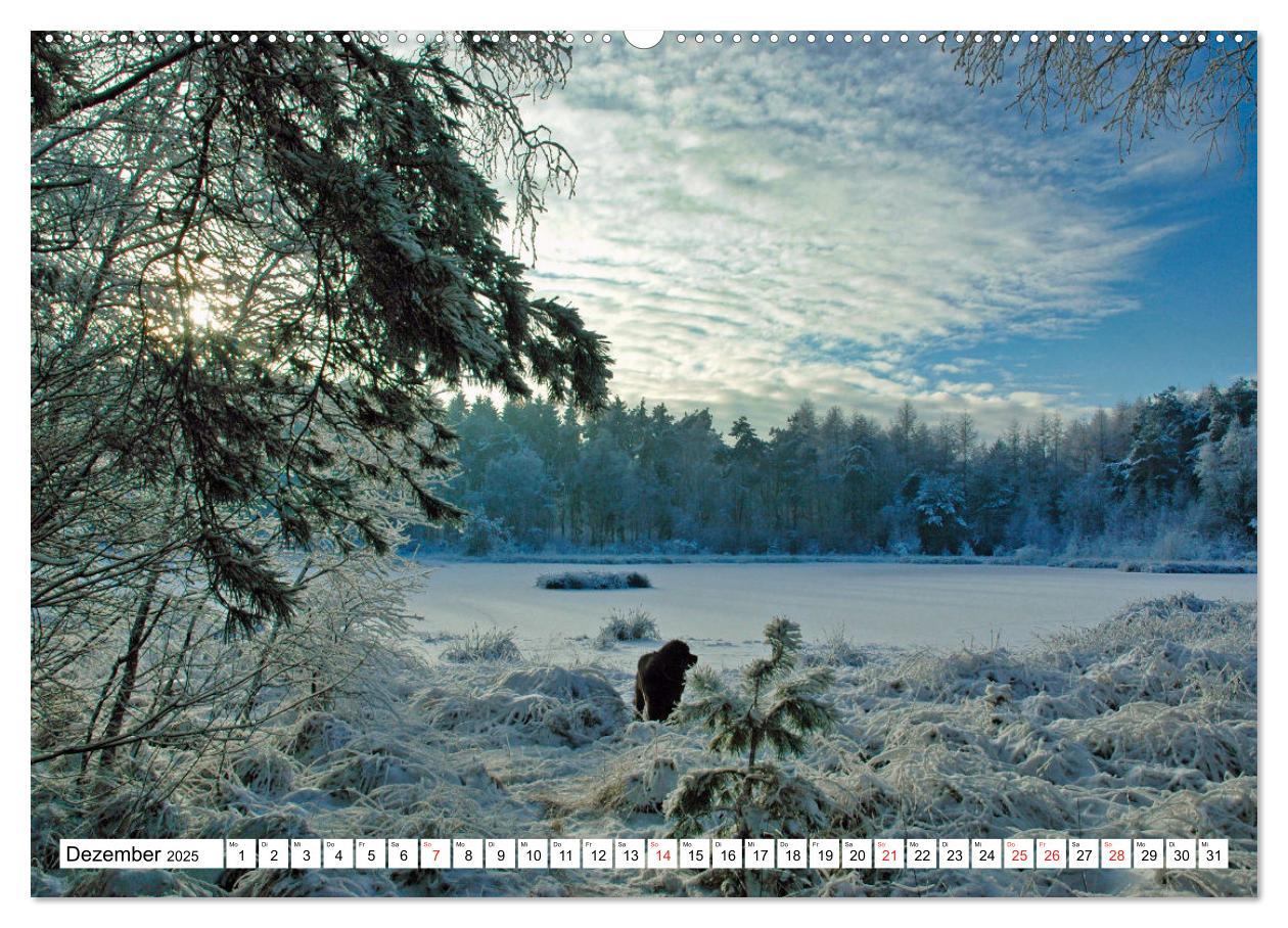 Bild: 9783435167104 | Wunderschönes Emsland (Wandkalender 2025 DIN A2 quer), CALVENDO...