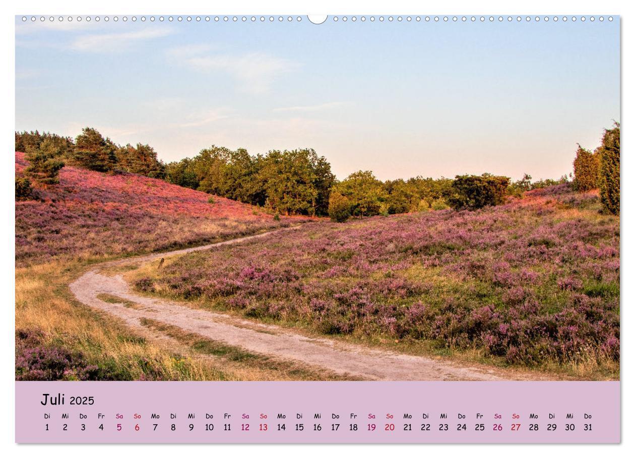 Bild: 9783435029747 | Lüneburger Heide Wege (Wandkalender 2025 DIN A2 quer), CALVENDO...