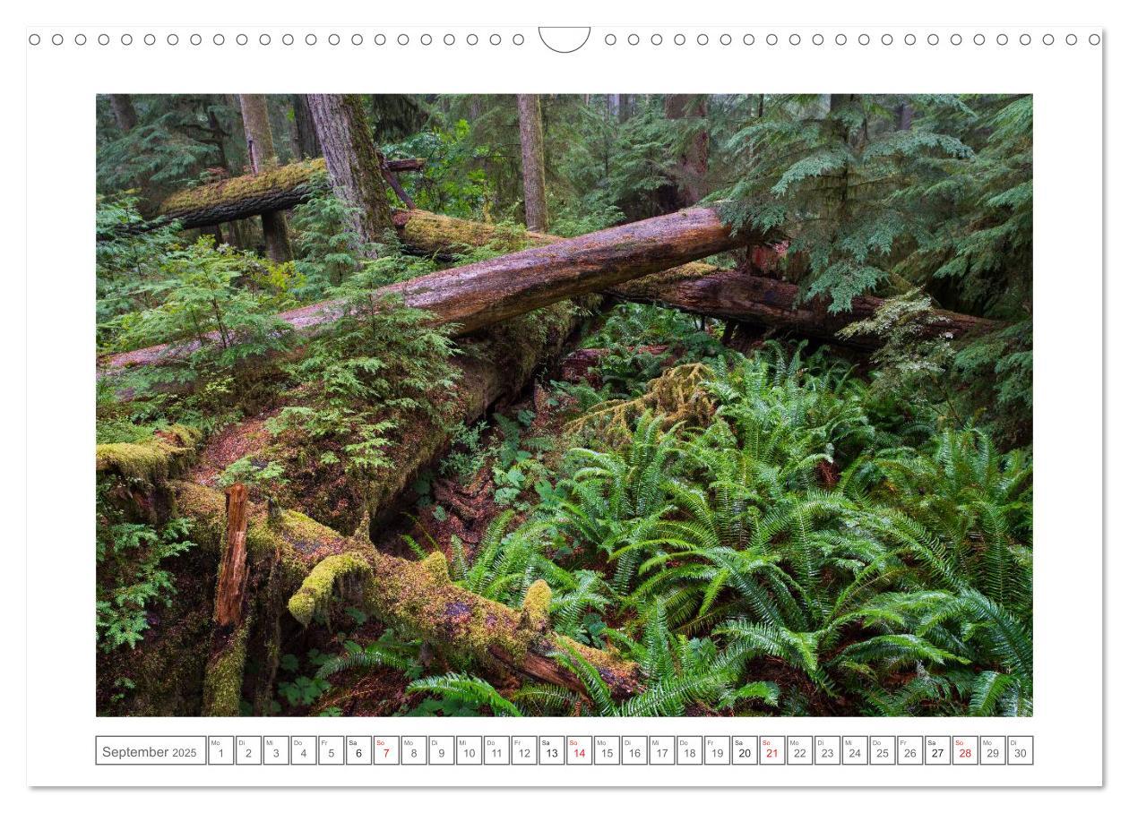 Bild: 9783435507665 | Vancouver Island (Wandkalender 2025 DIN A3 quer), CALVENDO...