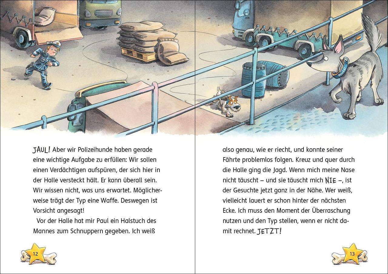 Bild: 9783743206540 | Kommissar Pfote (Band 2) - Auf der Spur der Diamanten-Diebin | Reider