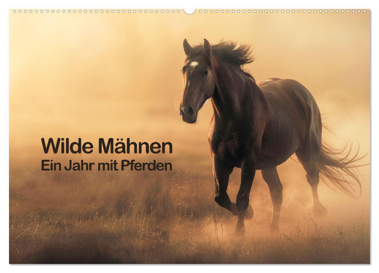 Cover: 9783383796012 | Wilde Mähnen: Ein Jahr mit Pferden (Wandkalender 2025 DIN A2 quer),...