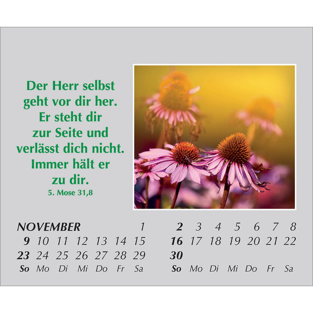 Bild: 9783754861059 | Freude für jeden Tag 2025 | Kalender | Spiralbindung. Spiralbindung