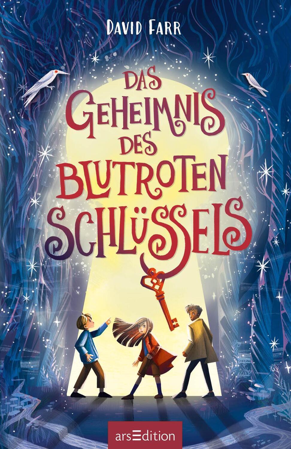 Bild: 9783845859422 | Das Geheimnis des blutroten Schlüssels (Das Buch der gestohlenen...