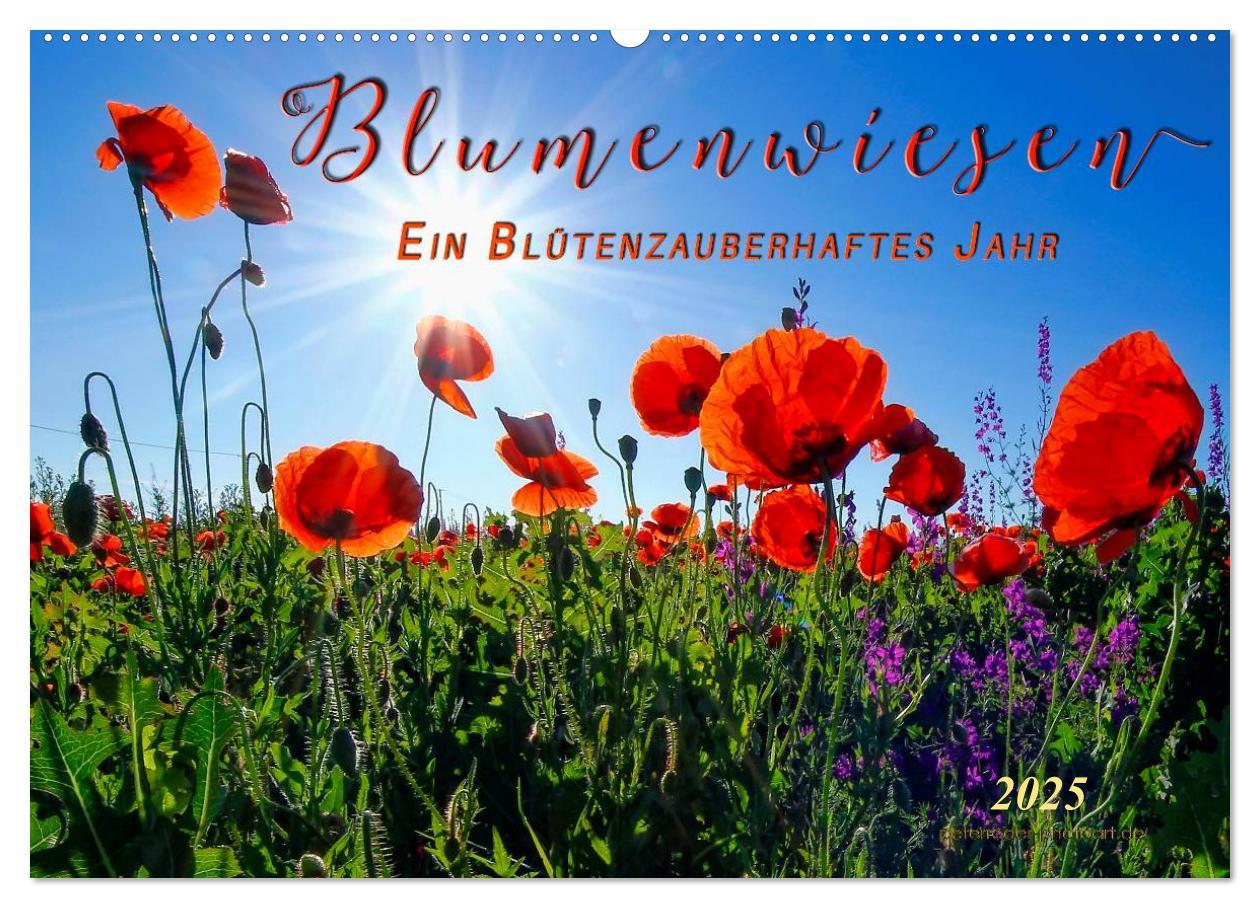 Cover: 9783435473083 | Blumenwiesen ¿ ein blütenzauberhaftes Jahr (Wandkalender 2025 DIN...