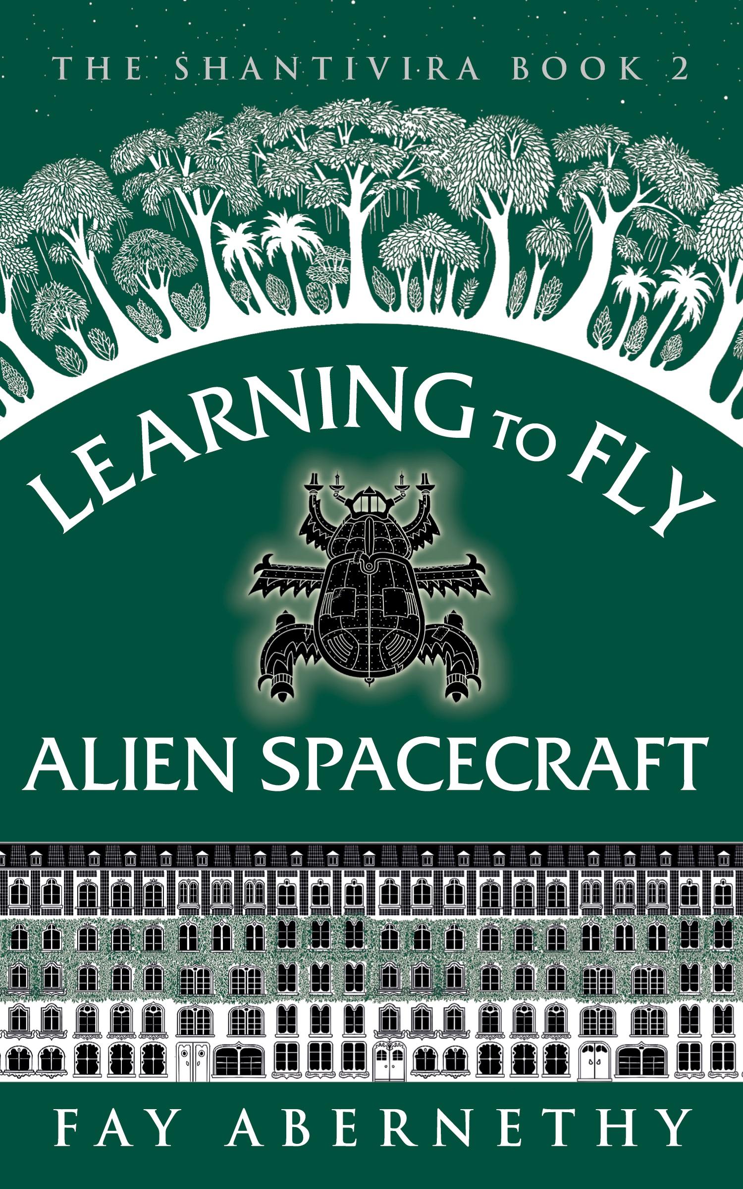 Cover: 9783949516054 | Learning to Fly Alien Spacecraft | Fay Abernethy | Taschenbuch | 2023