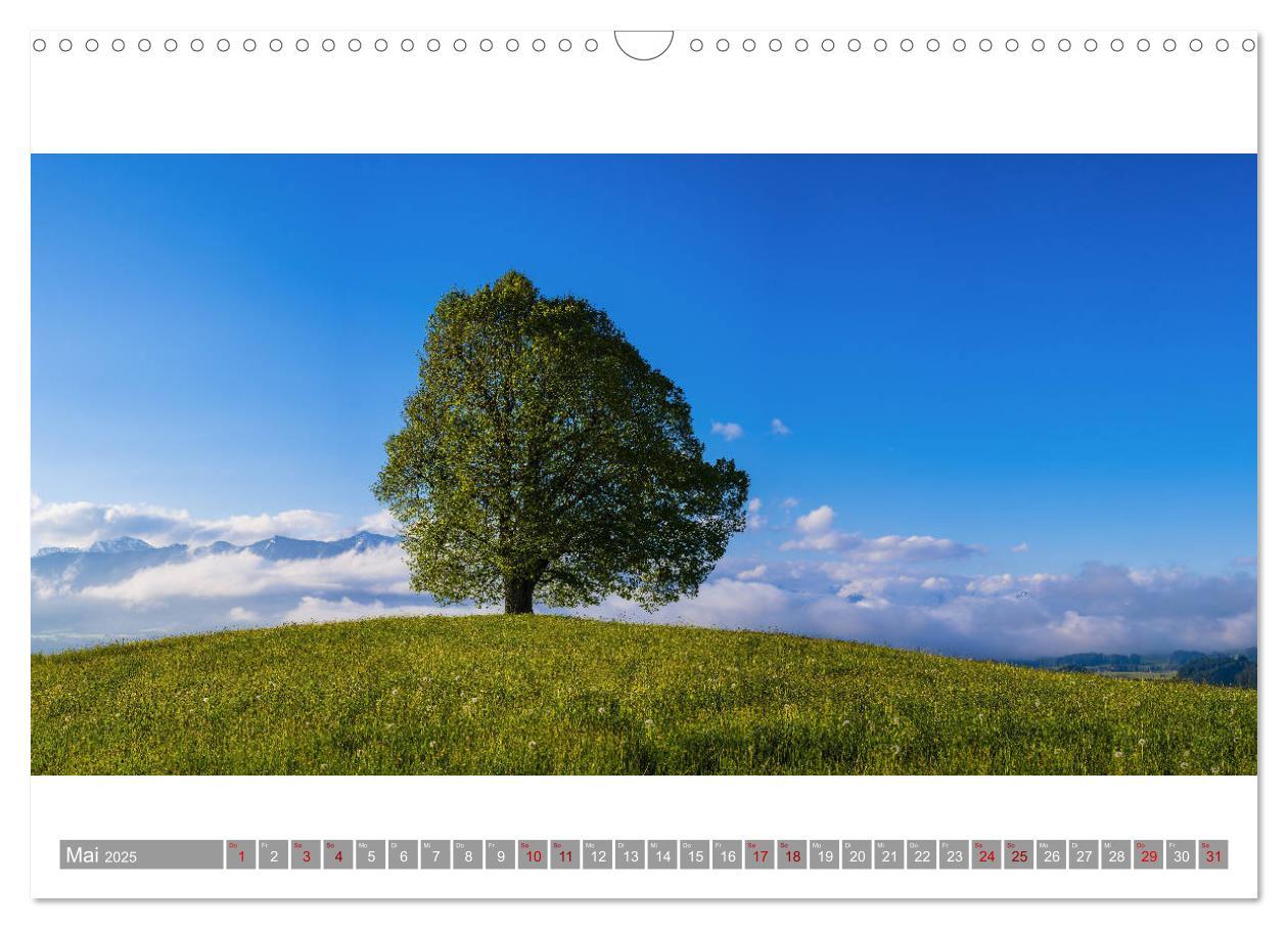 Bild: 9783435358663 | Oberallgäu Panorama (Wandkalender 2025 DIN A3 quer), CALVENDO...