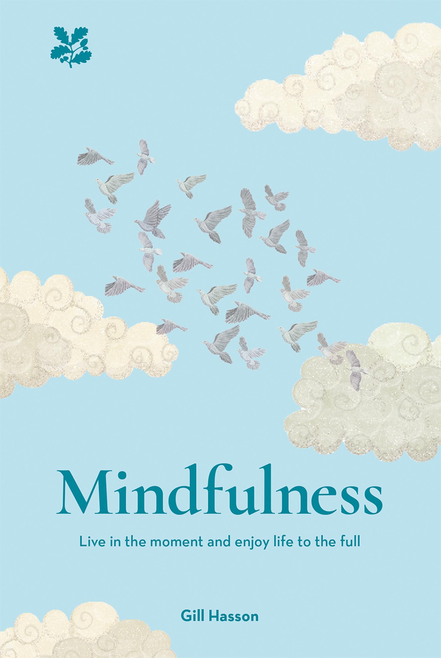 Cover: 9781911358763 | Mindfulness | Live in the Moment and Enjoy Life to the Full | Buch