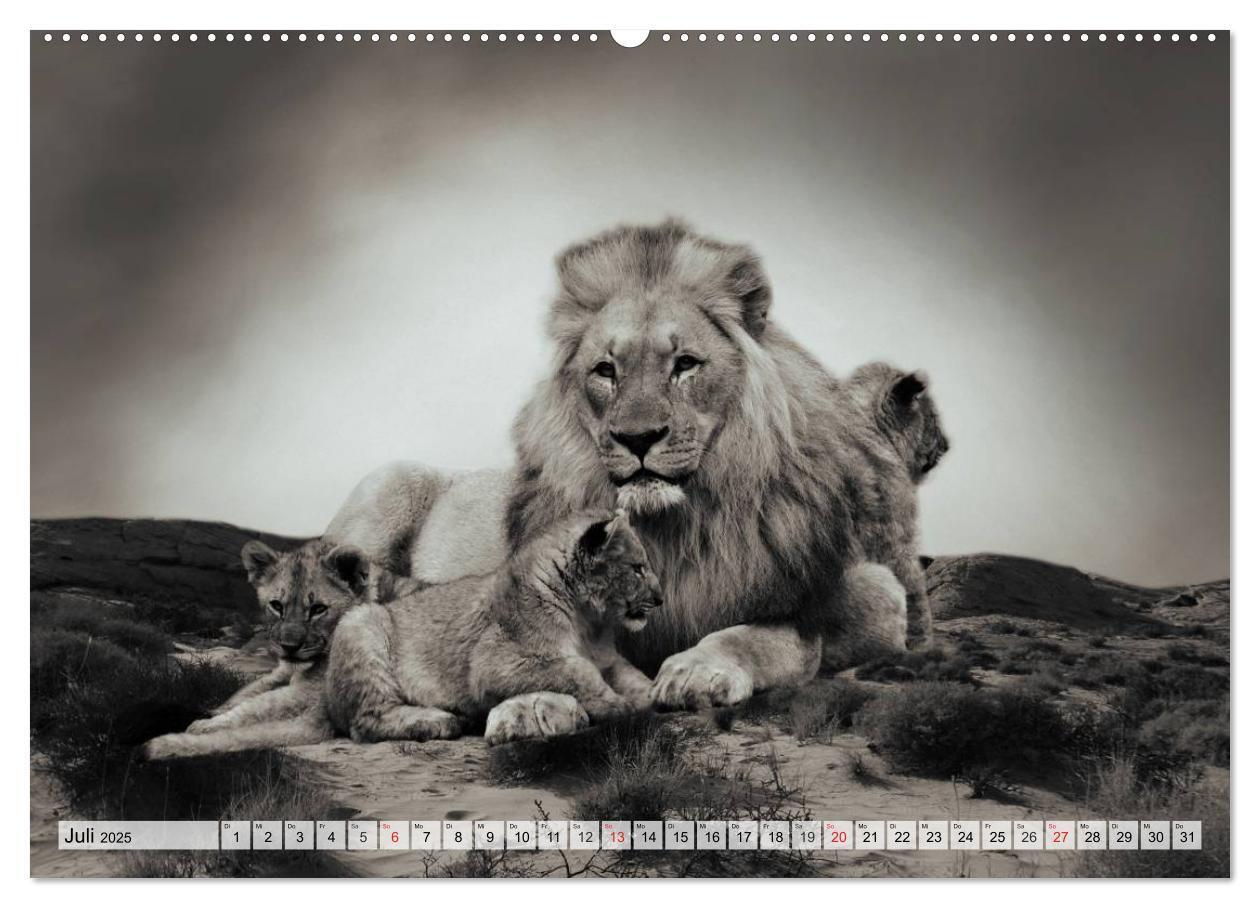 Bild: 9783435599684 | Wilde Tiere in schwarz-weiß (Wandkalender 2025 DIN A2 quer),...