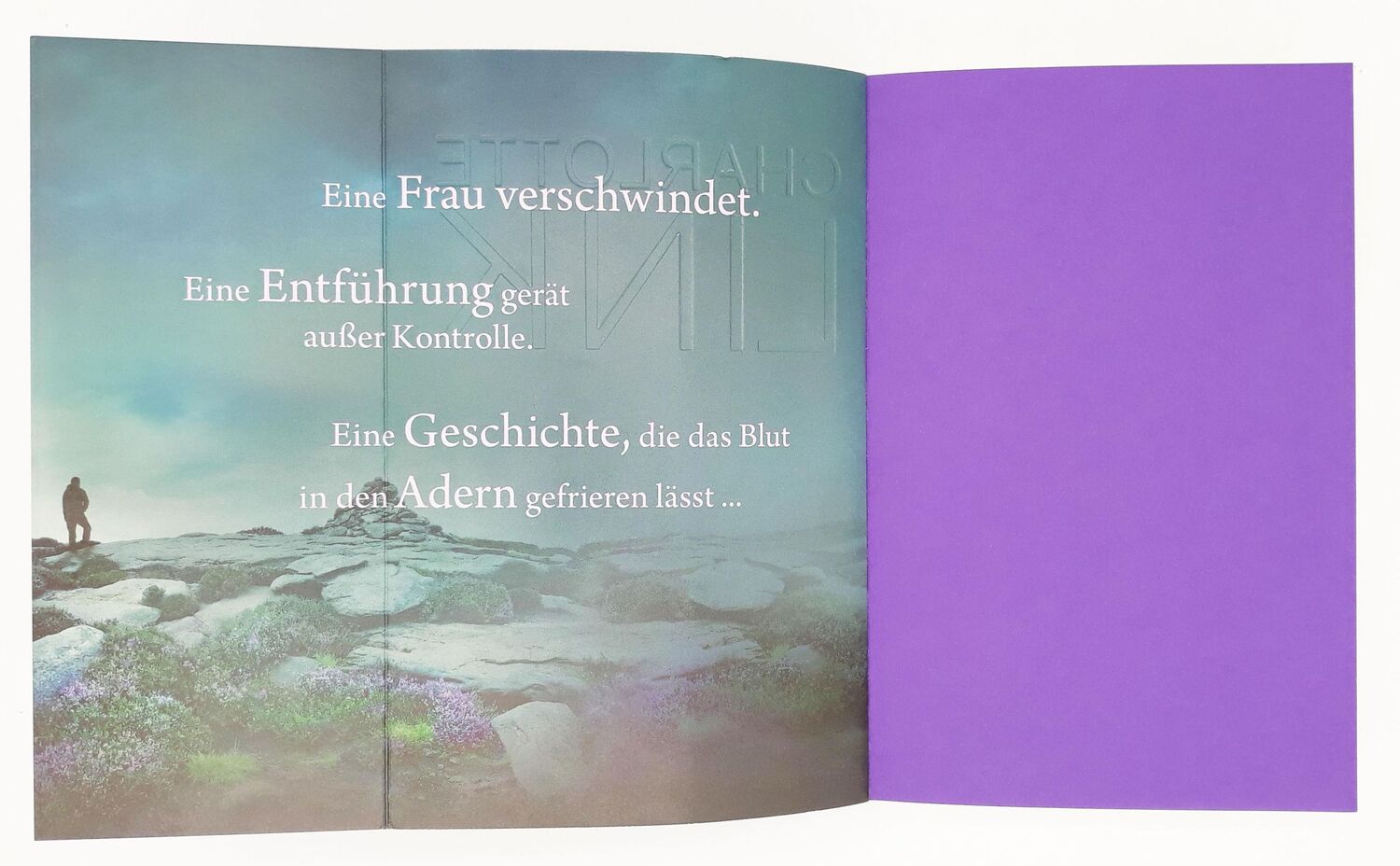 Bild: 9783442382590 | Im Tal des Fuchses | Charlotte Link | Taschenbuch | 576 S. | Deutsch