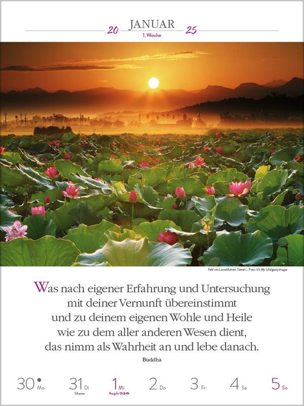 Bild: 9783731877264 | Buddhistische Weisheiten 2025 | Verlag Korsch | Kalender | 54 S.