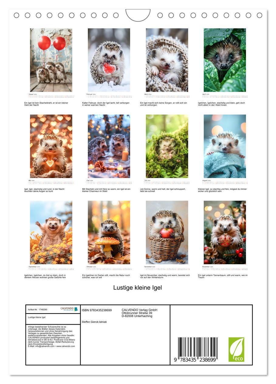 Bild: 9783435238699 | Lustige kleine Igel (Wandkalender 2025 DIN A4 hoch), CALVENDO...