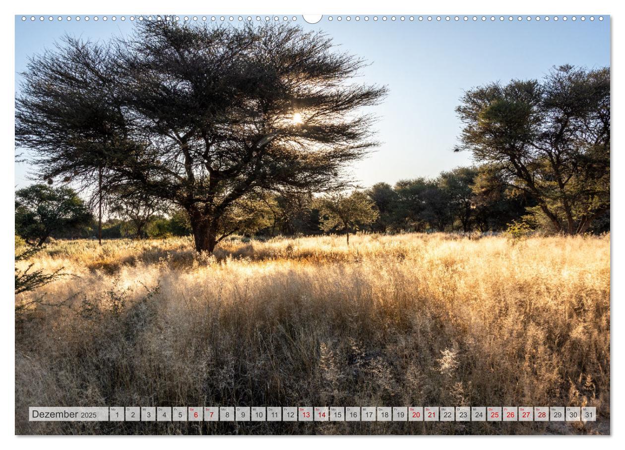 Bild: 9783383853289 | Abenteuerliches Namibia (Wandkalender 2025 DIN A2 quer), CALVENDO...