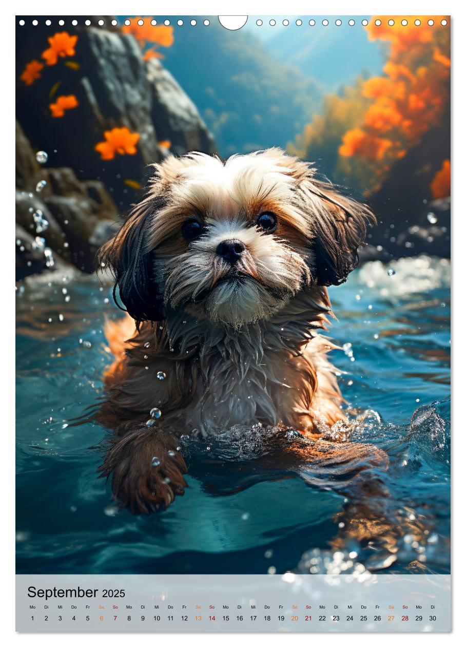 Bild: 9783383765384 | Shih Tzu - immer im Mittelpunkt (Wandkalender 2025 DIN A3 hoch),...