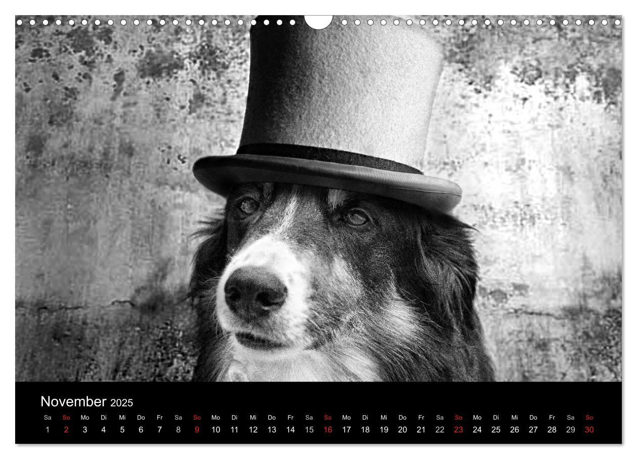 Bild: 9783435781096 | Hütehunde (Wandkalender 2025 DIN A3 quer), CALVENDO Monatskalender