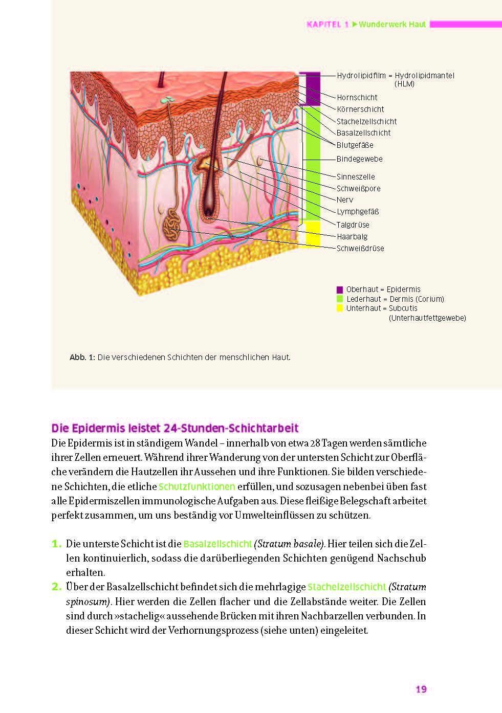 Bild: 9783969140017 | Das große Buch für die gesunde Haut | Ruth von Braunschweig | Buch