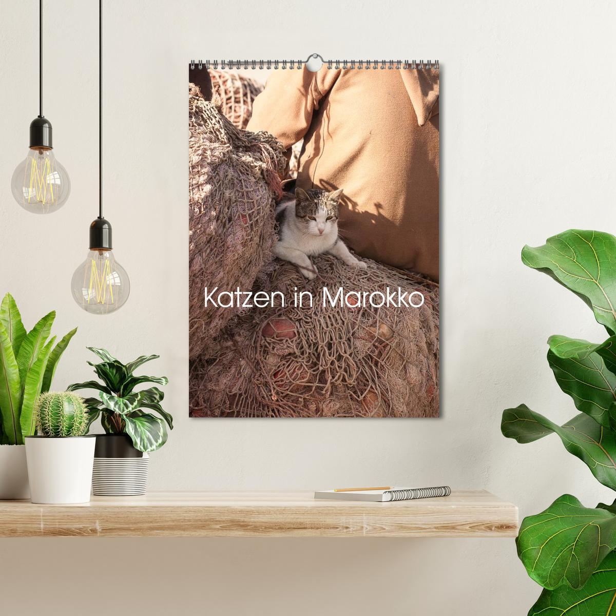 Bild: 9783457030127 | Katzen in Marokko (Wandkalender 2025 DIN A3 hoch), CALVENDO...