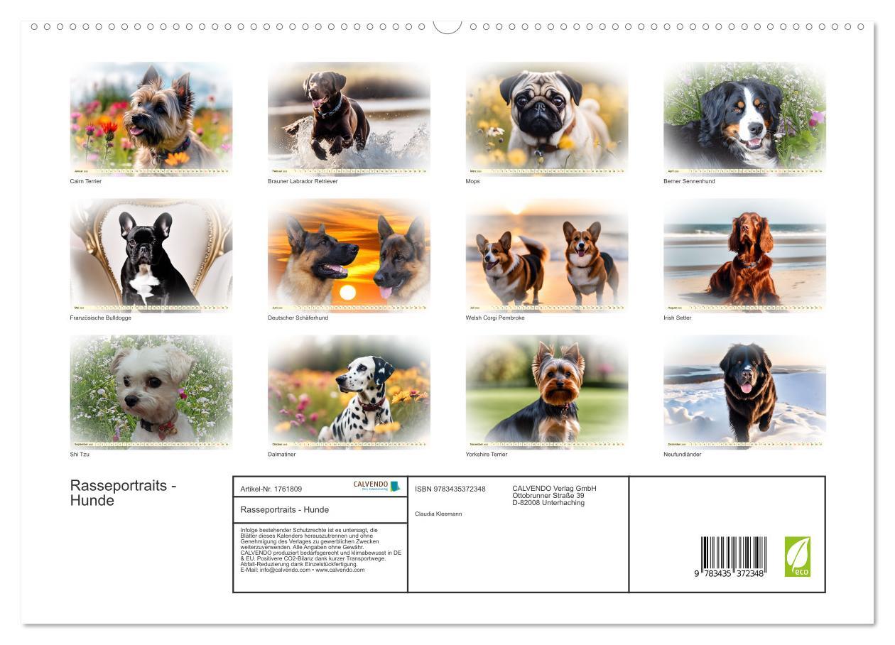 Bild: 9783435372348 | Rasseportraits - Hunde (hochwertiger Premium Wandkalender 2025 DIN...