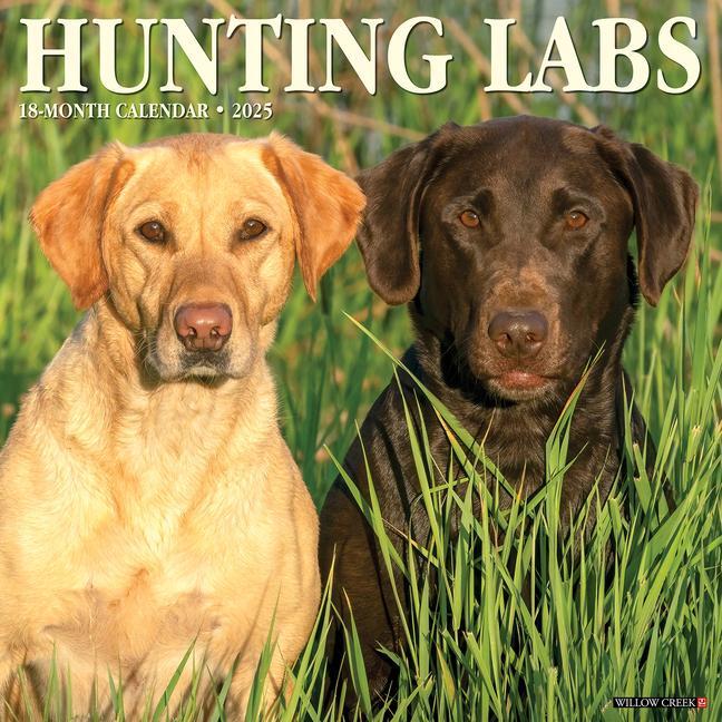 Cover: 9781549243455 | Hunting Labs 2025 12 X 12 Wall Calendar | Willow Creek Press | 2025