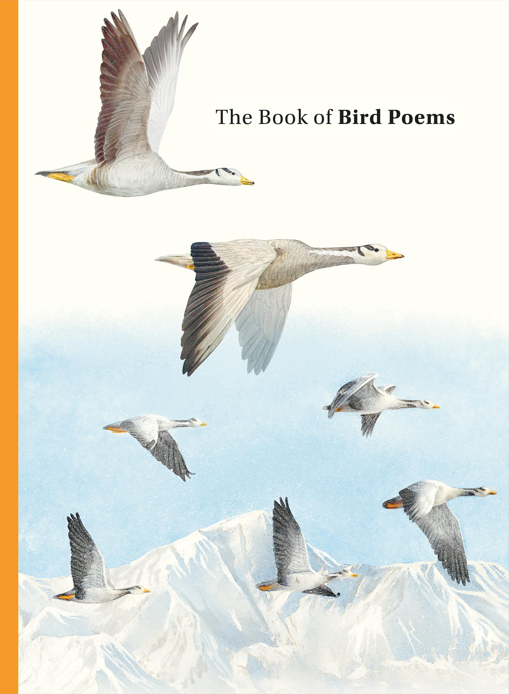 Cover: 9781399625630 | The Book of Bird Poems | Ana Sampson | Buch | 128 S. | Englisch | 2024