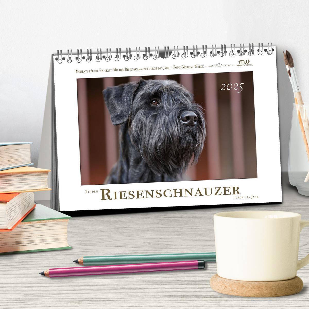 Bild: 9783435720194 | Mit dem Riesenschnauzer durch das Jahr (Tischkalender 2025 DIN A5...