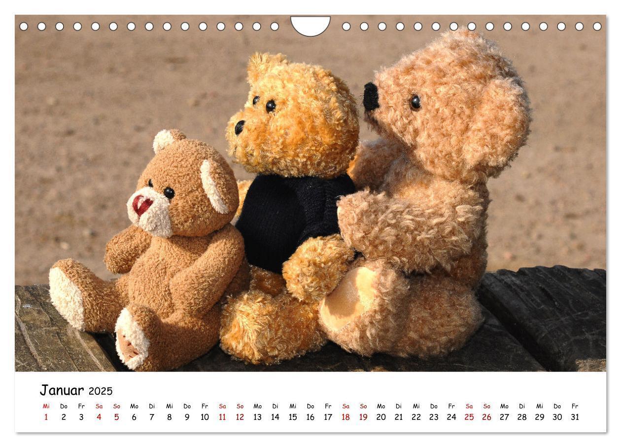 Bild: 9783383964954 | Allerliebste Teddybären (Wandkalender 2025 DIN A4 quer), CALVENDO...