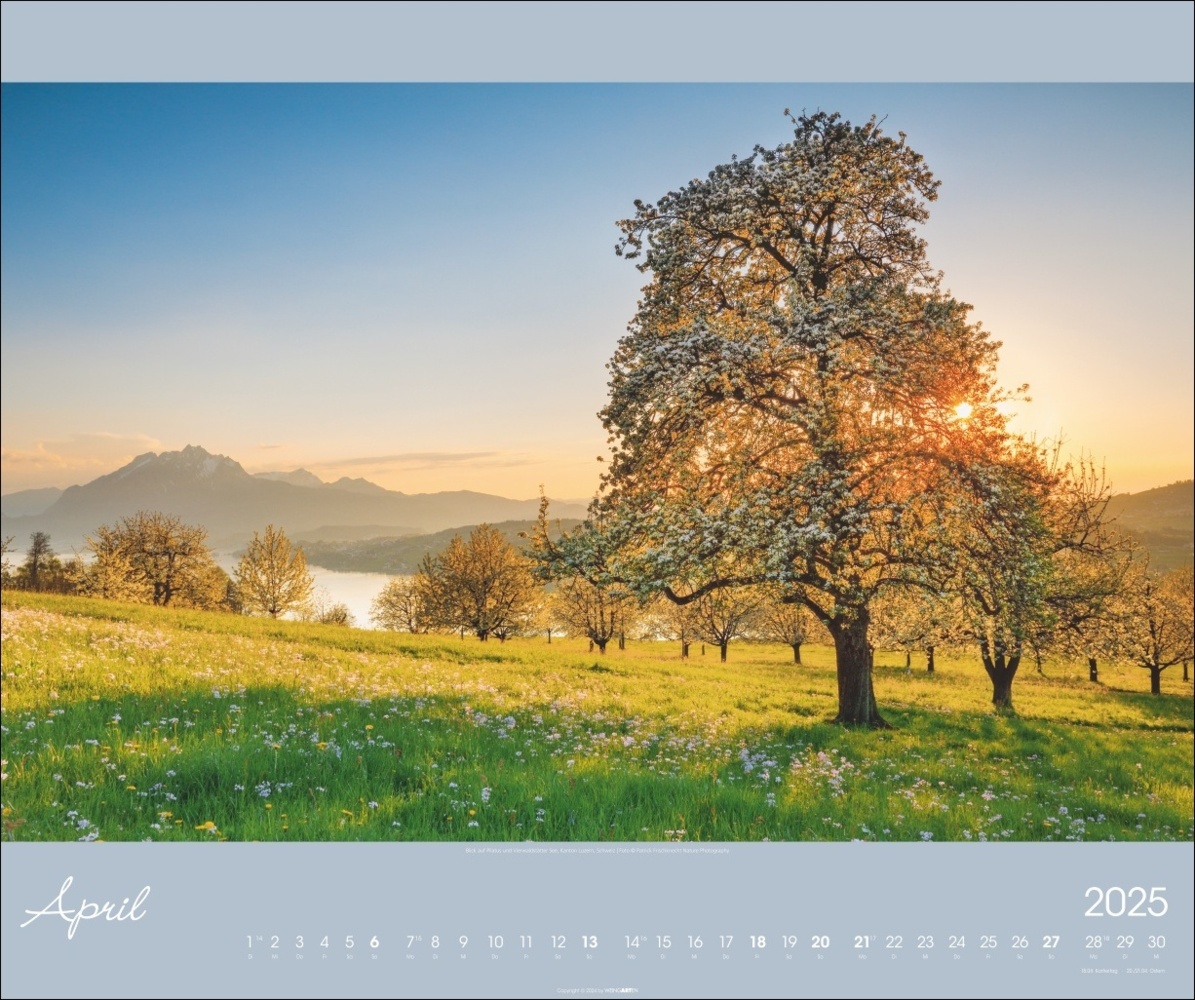 Bild: 9783839901113 | Alpen im Licht Kalender 2025 | Kalender | Spiralbindung | 14 S. | 2025