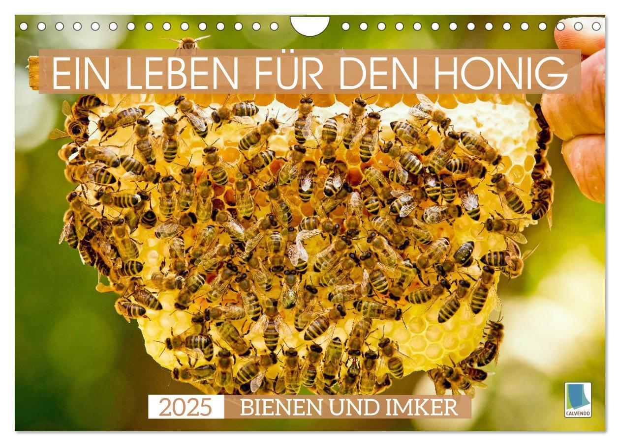 Cover: 9783435125142 | Ein Leben für den Honig - Bienen und Imker (Wandkalender 2025 DIN...