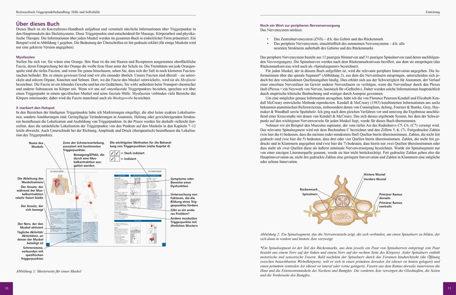 Bild: 9783767911055 | Referenzbuch Triggerpunkt Behandlung | Simeon Niel-Asher | Taschenbuch