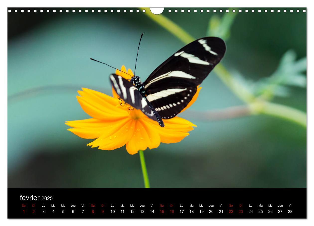 Bild: 9781325937059 | Costa Rica Paradis de la Biodiversité (Calendrier mural 2025 DIN A3...