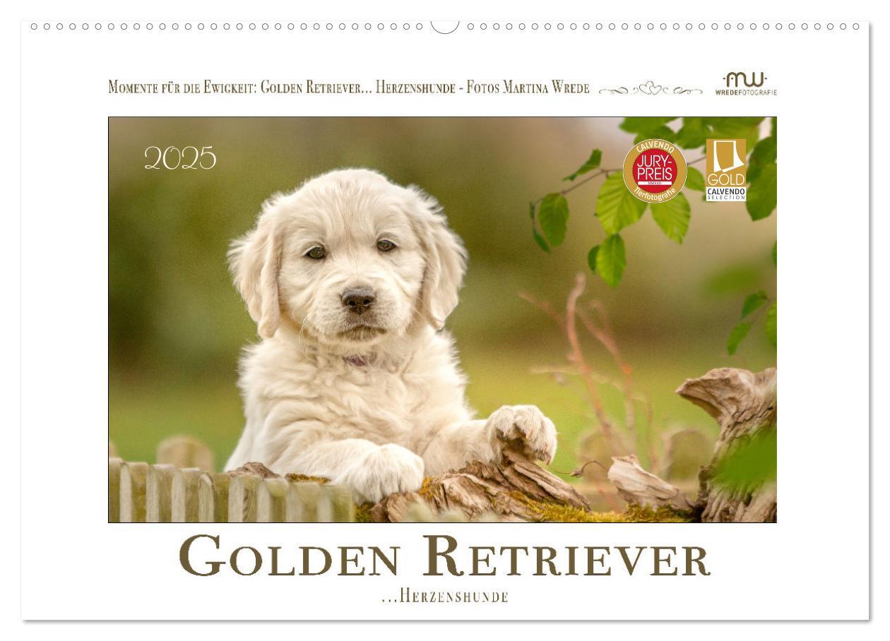 Cover: 9783383828355 | Golden Retriever... Herzenshunde (Wandkalender 2025 DIN A2 quer),...