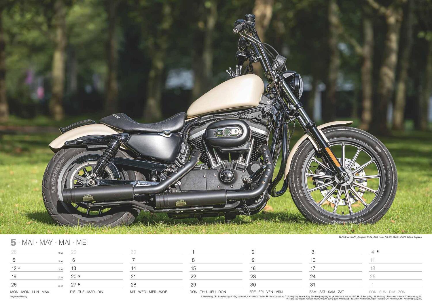 Bild: 4002725994240 | Harleys 2025 - Wand-Kalender - 42x29,7 - Motorrad | Wandkalender A3