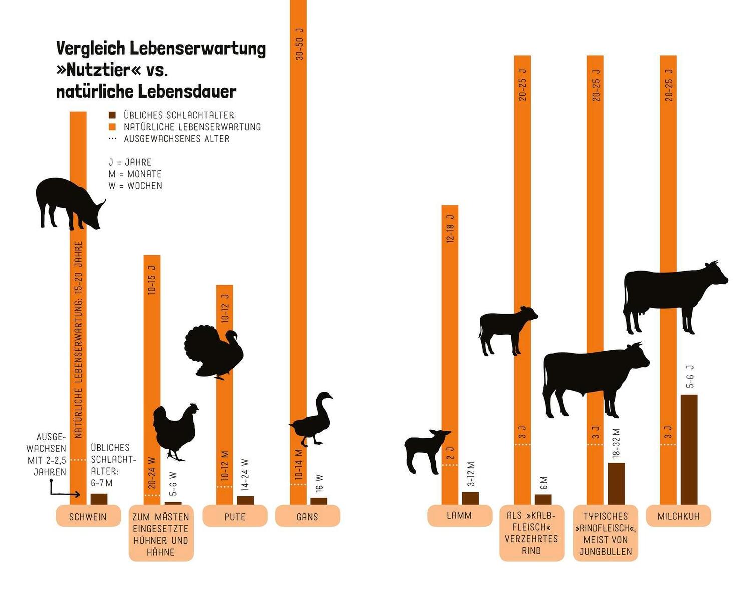 Bild: 9783737359740 | Tiere wollen leben! | Hilal Sezgin | Taschenbuch | 272 S. | Deutsch