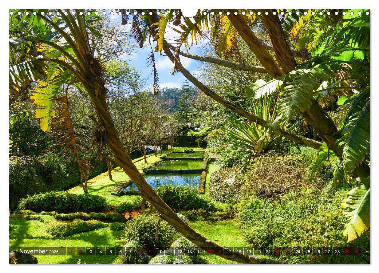 Bild: 9783435375325 | Terra Nostra Garten - ein botanisches Juwel auf den Azoren...