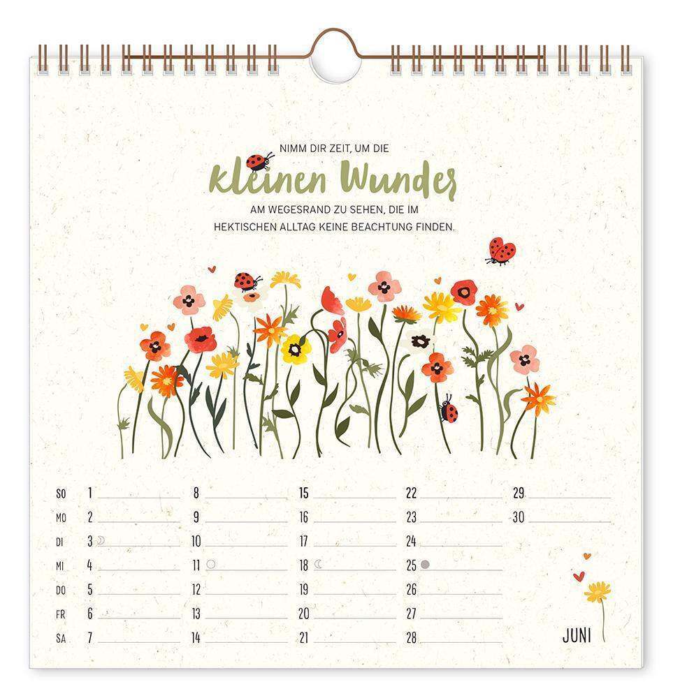 Bild: 9783986361242 | Wandkalender quadratisch 2025 Bee happy | Wandkalender | Original