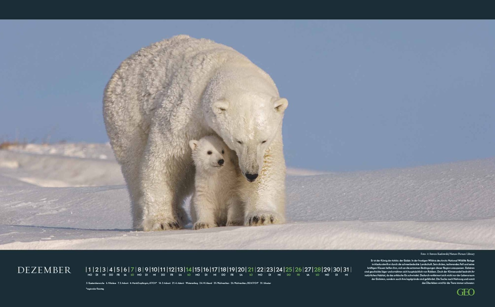 Bild: 4002725988645 | GEO - Bedrohte Tierwelt 2025 Wandkalender, 58x36cm, Posterkalender...