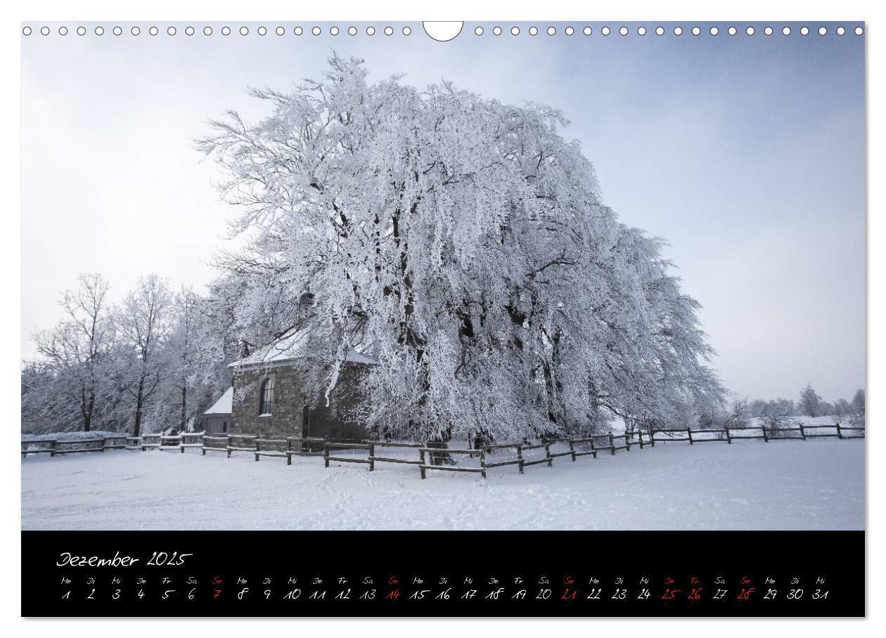 Bild: 9783435518722 | Hochmoor Hohes Venn (Wandkalender 2025 DIN A3 quer), CALVENDO...