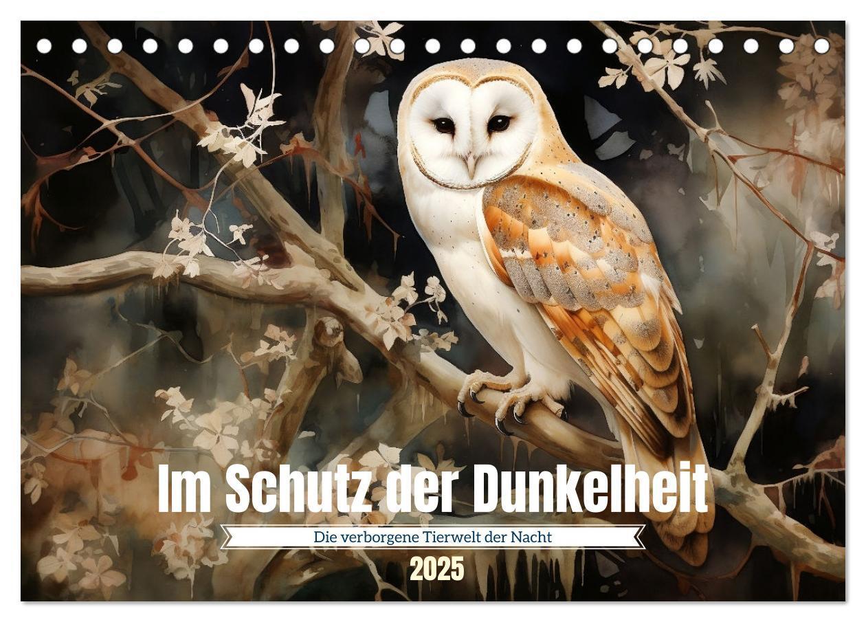 Cover: 9783383763526 | Im Schutz der Dunkelheit (Tischkalender 2025 DIN A5 quer), CALVENDO...