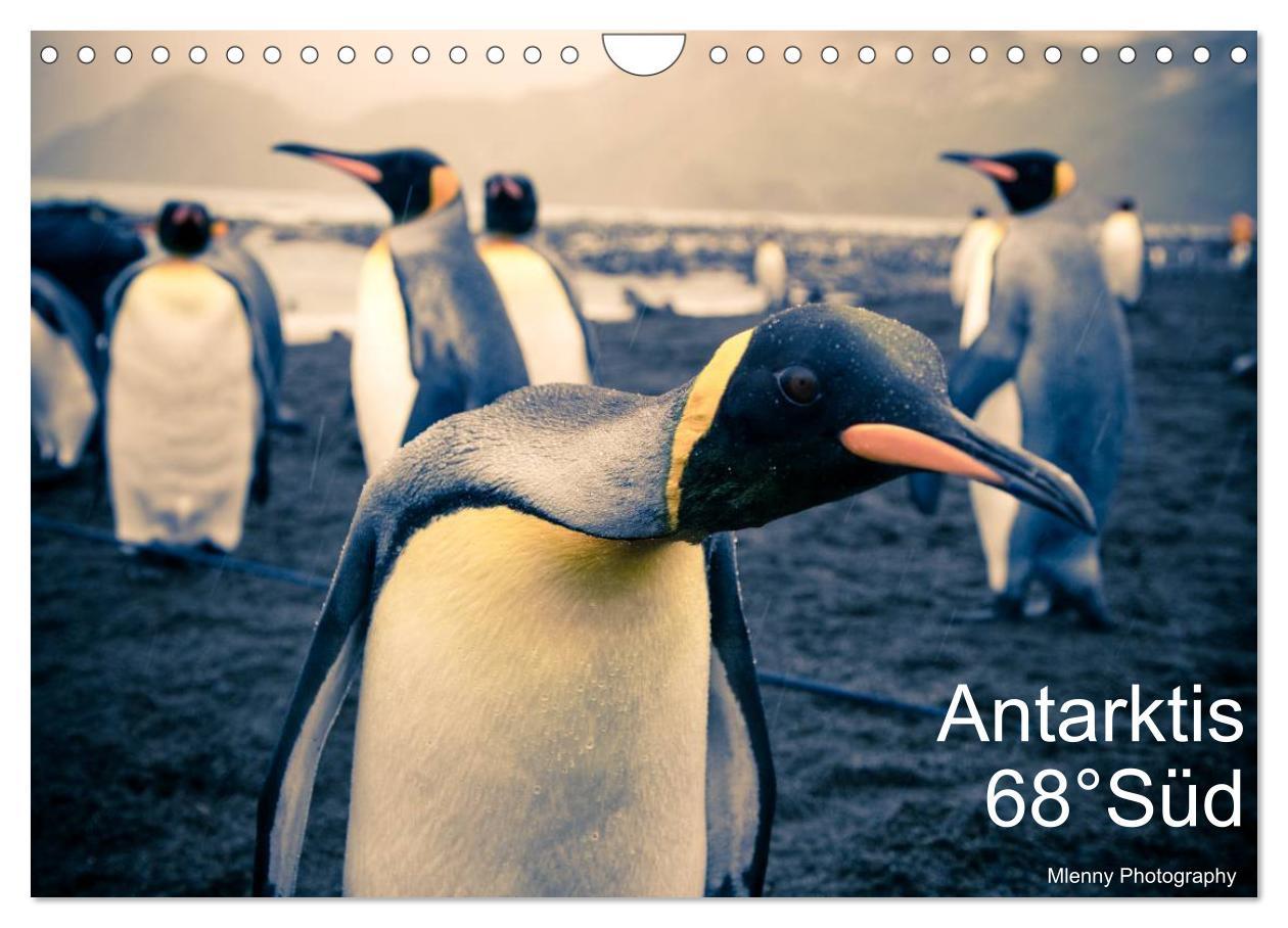 Cover: 9783435467631 | Antarktis 68° Süd (Wandkalender 2025 DIN A4 quer), CALVENDO...